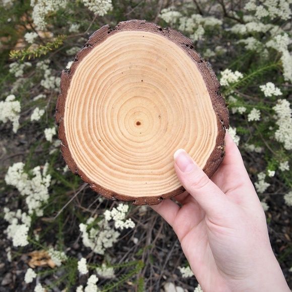 Reiki Cho Ku Rei Crystal Grid Altar Mosaic Art - Picture 3 of 7